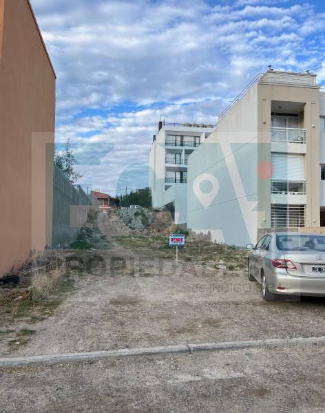 Imagen 4